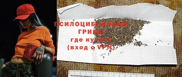 a pvp Богородицк