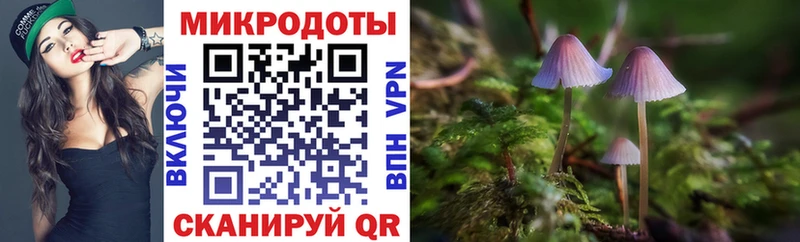 Псилоцибиновые грибы Psilocybe  Купить  Троицк 